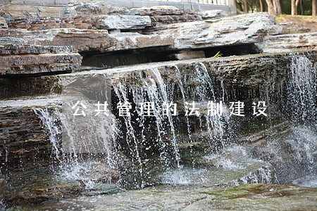 公共管理的法制建设 公共管理的法制建设