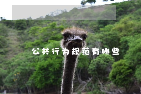 公共行为规范有哪些 公共行为规范有哪些