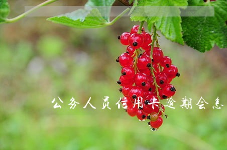 公务人员信用卡逾期会怎样 公务人员信用卡逾期会怎样