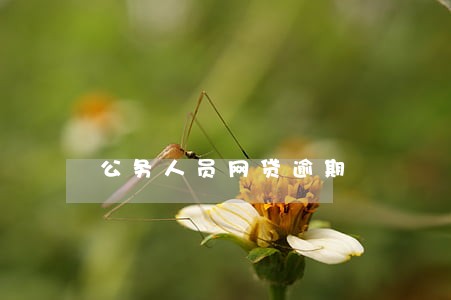 公务人员网贷逾期 公务人员网贷逾期