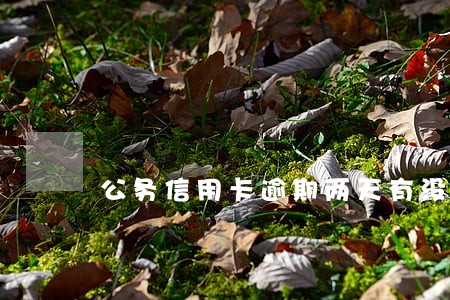 公务信用卡逾期两天有没利息