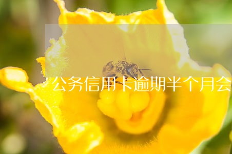 公务信用卡逾期半个月会上征信吗