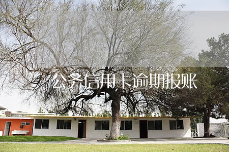 公务信用卡逾期报账 公务信用卡逾期报账