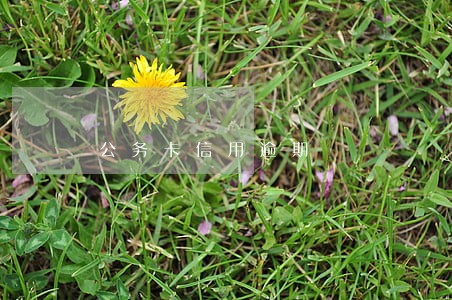 公务卡信用逾期 公务卡信用逾期