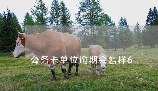 公务卡单位逾期会怎样6 公务卡单位逾期会怎样6
