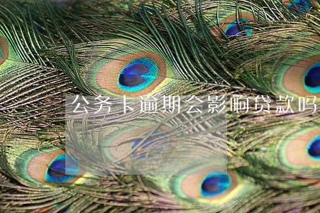 公务卡逾期会影响贷款吗