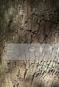 公务卡逾期还可以贷款吗 公务卡逾期还可以贷款吗