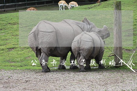 公务卡逾期还款影响个人信用 公务卡逾期还款影响个人信用