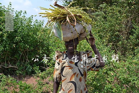 公务员与信用卡逾期