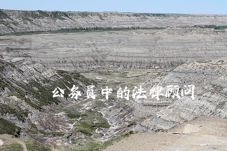 公务员中的法律顾问 公务员中的法律顾问