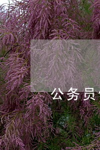 公务员使用信用卡导致逾期 公务员使用信用卡导致逾期