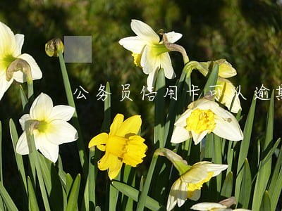 公务员信用卡可以逾期吗 公务员信用卡可以逾期吗