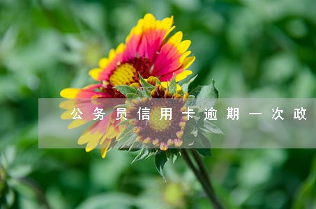 公务员信用卡逾期一次政审 公务员信用卡逾期一次政审