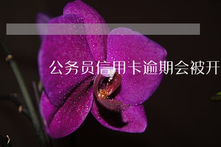 公务员信用卡逾期会被开除么 公务员信用卡逾期会被开除么