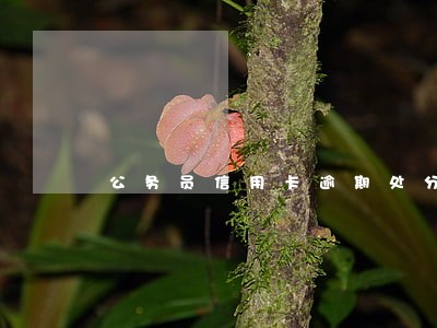 公务员信用卡逾期处分 公务员信用卡逾期处分