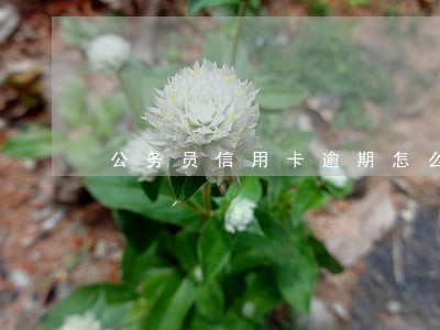 公务员信用卡逾期怎么处理 公务员信用卡逾期怎么处理