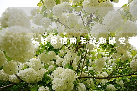 公务员信用卡逾期感觉要去坐牢了