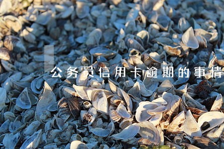 公务员信用卡逾期的事情有没有 公务员信用卡逾期的事情有没有