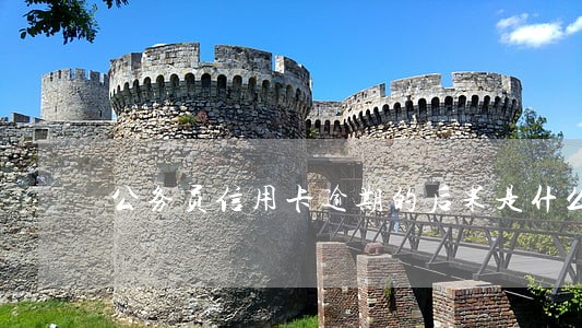 公务员信用卡逾期的后果是什么 公务员信用卡逾期的后果是什么