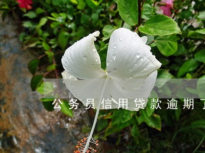 公务员信用贷款逾期了怎么办 公务员信用贷款逾期了怎么办