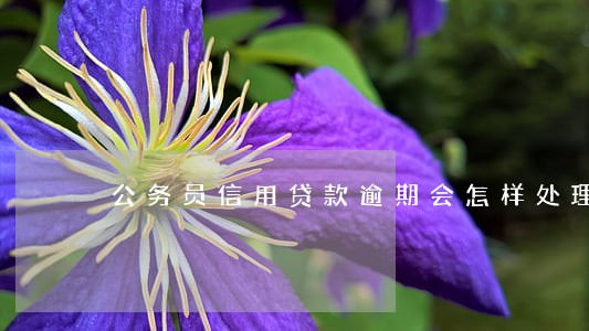 公务员信用贷款逾期会怎样处理