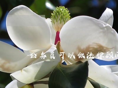 公务员可以做法律顾问吗 公务员可以做法律顾问吗