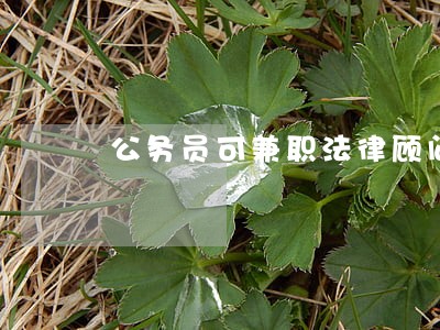 公务员可兼职法律顾问 公务员可兼职法律顾问