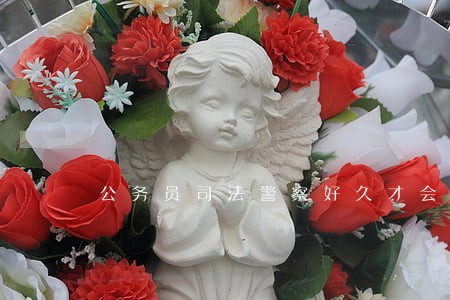 公务员司法警察好久才会体测