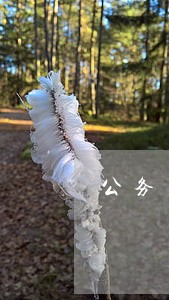 公务员国庆加班七天违法吗 公务员国庆加班七天违法吗