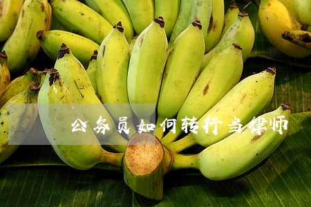公务员如何转行当律师 公务员如何转行当律师