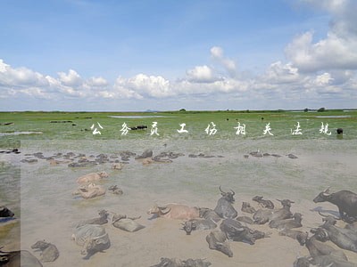 公务员工伤相关法规 公务员工伤相关法规