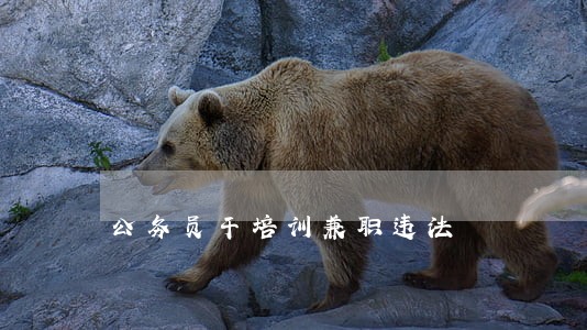 公务员干培训兼职违法 公务员干培训兼职违法