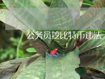 公务员挖比特币违法