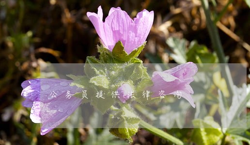 公务员提供法律咨询 公务员提供法律咨询