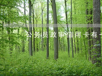 公务员政审信用卡有一次逾期 公务员政审信用卡有一次逾期