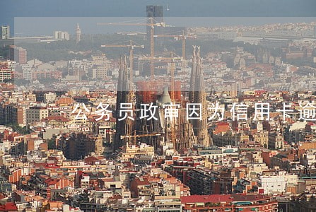 公务员政审因为信用卡逾期 公务员政审因为信用卡逾期