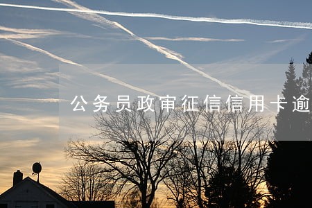 公务员政审征信信用卡逾期