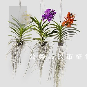 公务员政审征信信用卡逾期四个月