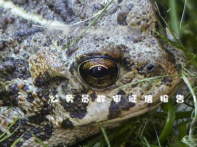 公务员政审征信报告1次逾期 公务员政审征信报告1次逾期