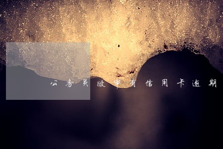公务员政审有信用卡逾期记录 公务员政审有信用卡逾期记录