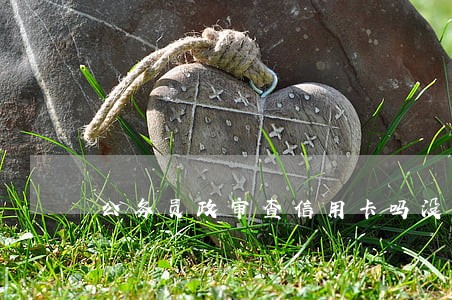 公务员政审查信用卡吗没逾期 公务员政审查信用卡吗没逾期