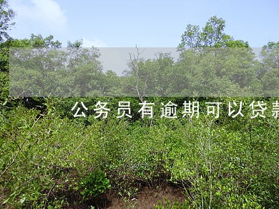 公务员有逾期可以贷款