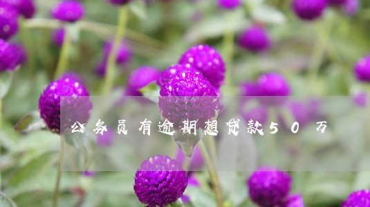 公务员有逾期想贷款50万 公务员有逾期想贷款50万