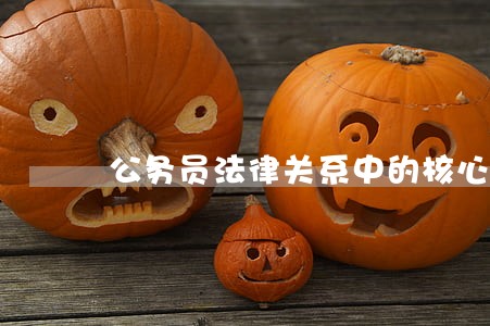 公务员法律关系中的核心内容 公务员法律关系中的核心内容