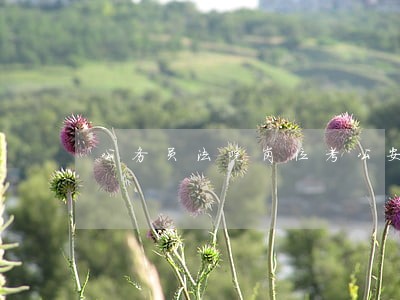 公务员法院岗位考公安基础吗 公务员法院岗位考公安基础吗