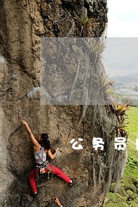 公务员网捷贷逾期 公务员网捷贷逾期