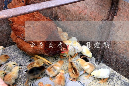公务员考试信用逾期 公务员考试信用逾期