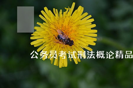 公务员考试刑法概论精品题库 公务员考试刑法概论精品题库