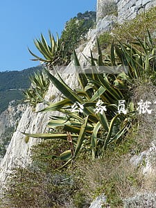 公务员被记大过期间又违法的
