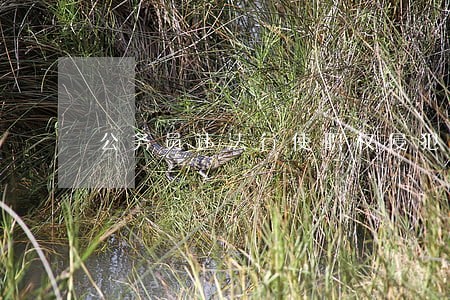 公务员违法行使职权侵犯相对人